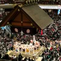 Sumo in Tokyo! 
