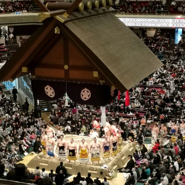 Sumo in Tokyo! 