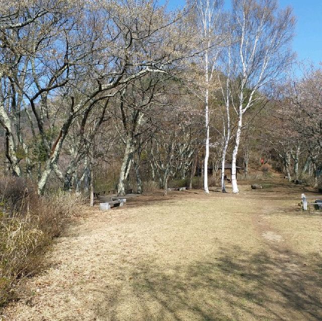 朝聖富士山第二景 天上山公園最佳拍攝位