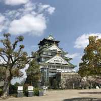 大阪のおすすめお花見スポット【大阪城公園】