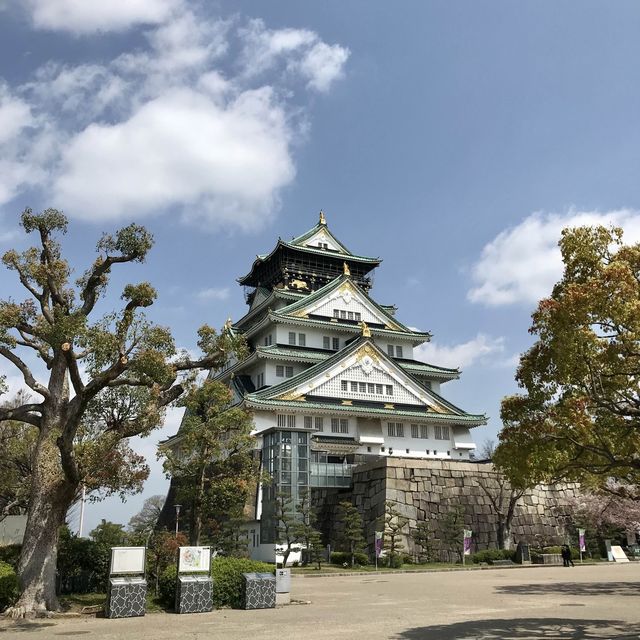 大阪のおすすめお花見スポット【大阪城公園】