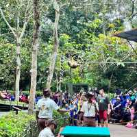 Discover the Lost World of Tambun