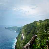 Bali's T-Rex Cliff Hike 🏝️🦖