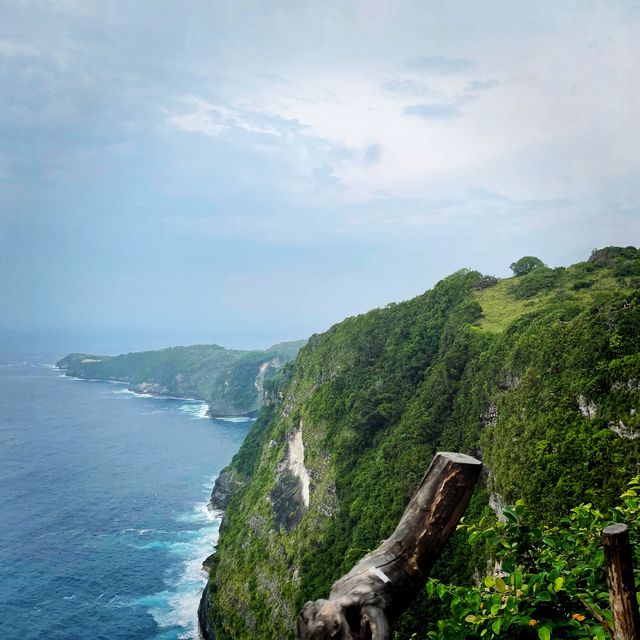 Bali's T-Rex Cliff Hike 🏝️🦖