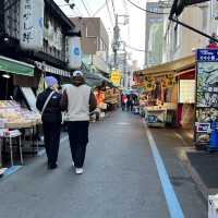 Tsukiji Outer Market 