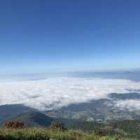 ดอยอินทนนท์⛰️🍃