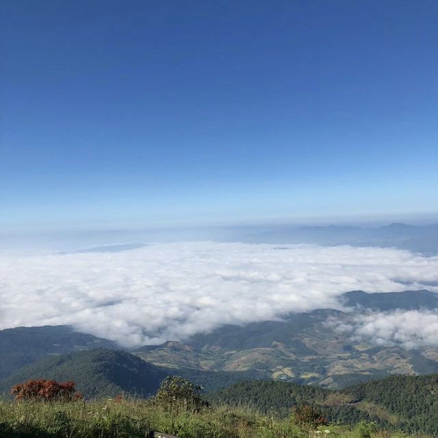 ดอยอินทนนท์⛰️🍃