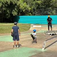 Relaxing green and family park in Sao Paolo!