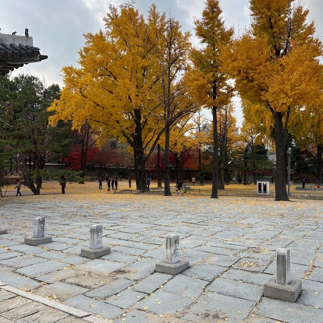 พระราชวังถ็อกซู (Deoksugung Palace)