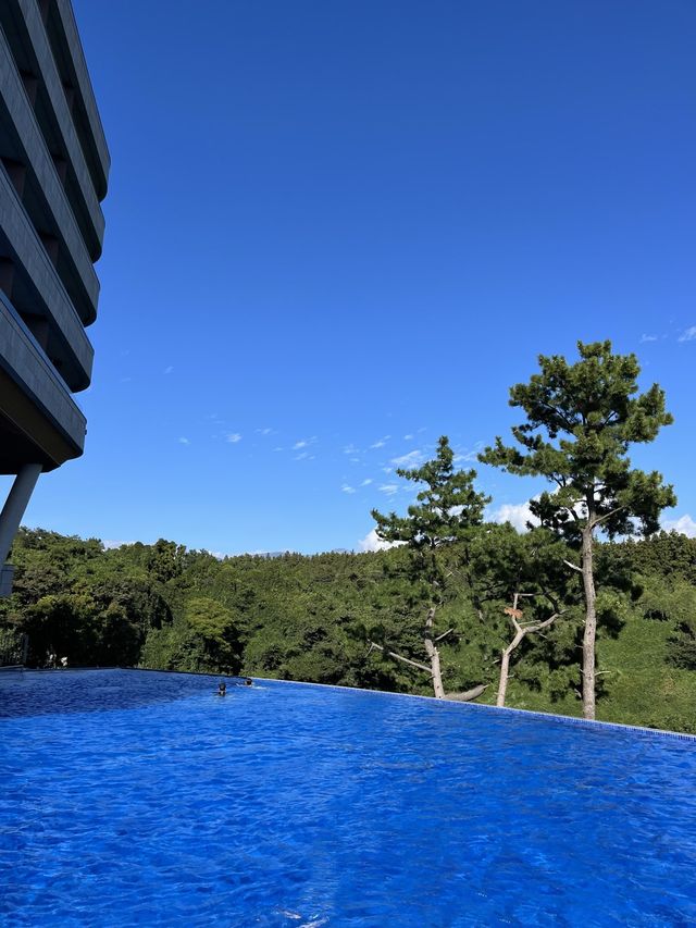 수영장 하나보고 가는 히든 클리프 호캉스🍃💚