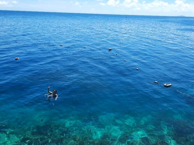 #no filter🌊純天然碧海藍天美人魚🧜🏻‍♀️