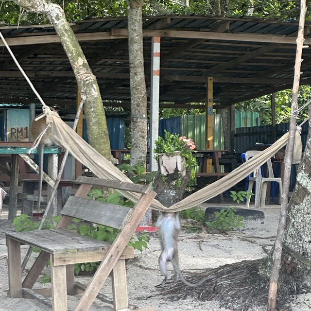 【ペナン島】お猿がいっぱいいるビーチ🏖🐒