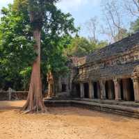 Ancient Temple - TaProhm Temple 