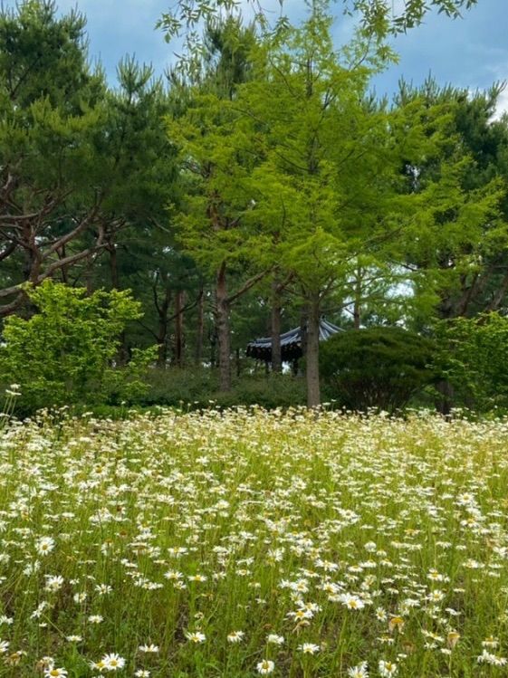 식물원 구경도 하고, 뛰어놀기 좋은 “한밭수목원&엑스포시민광장”