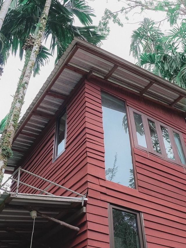 บ้านในหมง Treehouse 