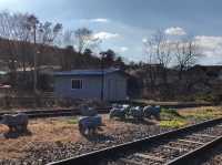 the best place for healing-cation near Seoul 