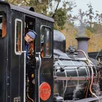 🚂 Choo Choo! All Aboard the Puffing Billy Steam Train! 🌫️