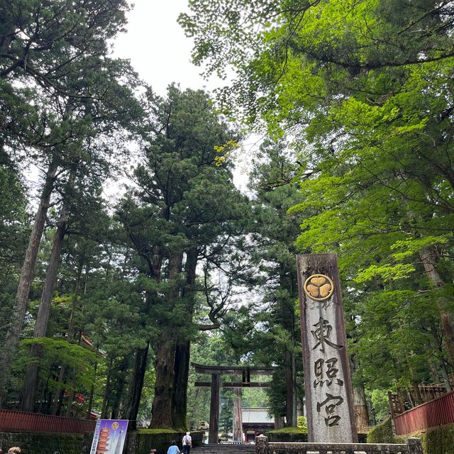 【栃木・日光】世界遺産！日光の社寺に！