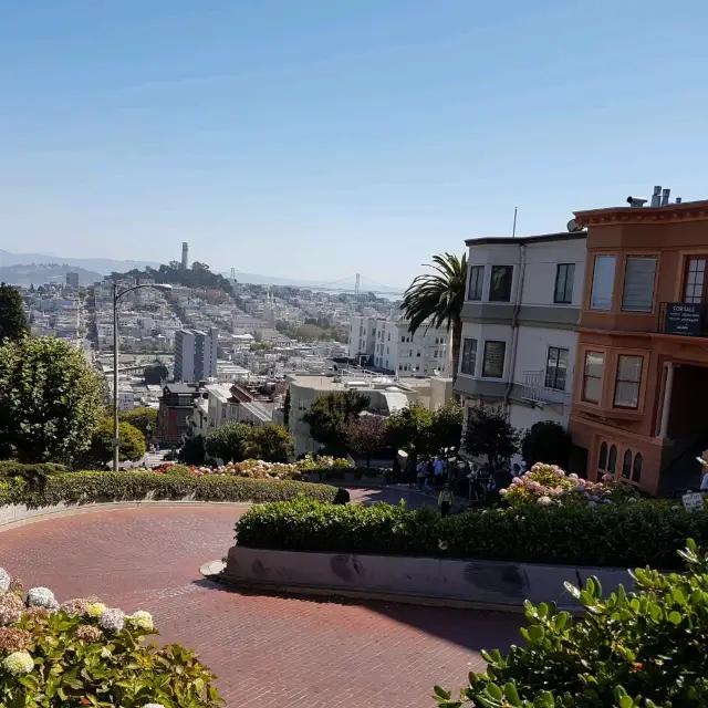 The Most Crooked Road In San Francisco 