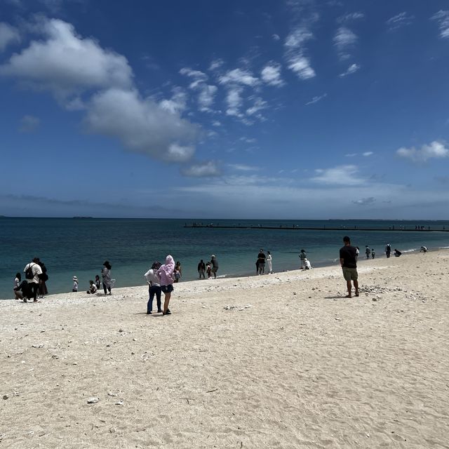 澎湖本島環島導覽 (專業司機帶領)