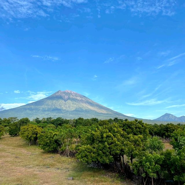 Savana Tianyar, a Very Beautiful Place in East Bali