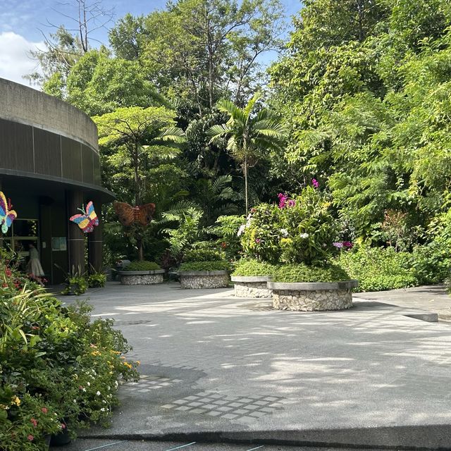 สวนรถไฟ 🌳🚲🐰ขี่จักรยานในสวน