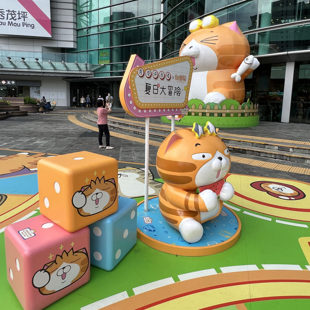 台灣人氣巨星喵登陸秀茂坪 台灣人氣巨星喵登陸秀茂坪