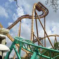 보기만해도 짜릿한 경주월드에서 놀이기구 즐기기🎢