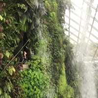 [Explore Singapore] Gardens of Your Dreams