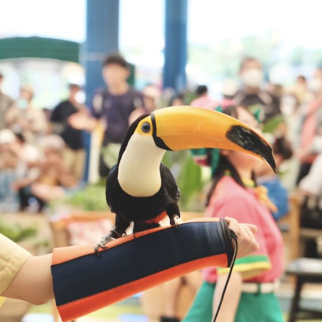 🦁🎢🐬和歌山冒險大世界🛡️動物樂園🦁🎢🐬