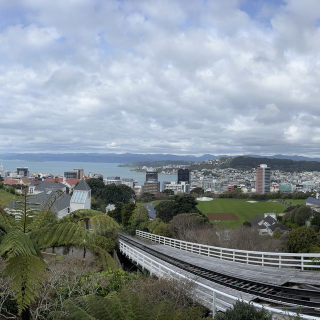 Whirlwind Wellington Trip