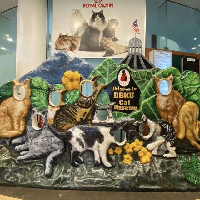  古晉貓博物館，貓奴的夢幻天堂！😺🏛️🐾