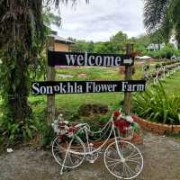 Songkhla Flower Farm
