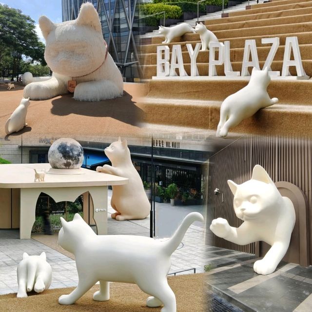 ✨打卡深圳灣萬象城巨型貓咪主題展🐱✨