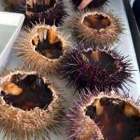 荷伯特 Tasmanian Wild Seafood Adventure海鮮遊艇之旅