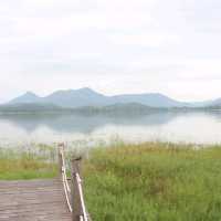 ปาท่องโก๋ Camping