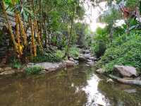 โรงแรมพราวภูฟ้า สาขาในเมืองเชียงใหม่