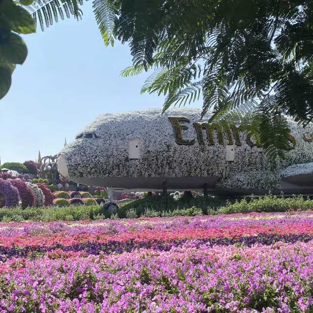 【ドバイ】花でできたエミレーツ飛行機！✈️