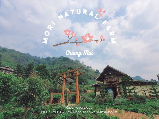โมริ เนเชอรัล ฟาร์ม คาเฟ่และที่พักสวยสไตล์ญี่ปุ่น