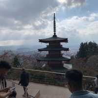 Chùa Chureito Yamanashi