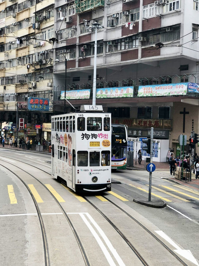 The Hong Kong Odyssey