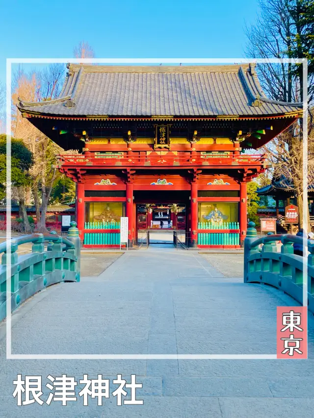 【東京都/根津神社】幅広い方々から人気の神社
