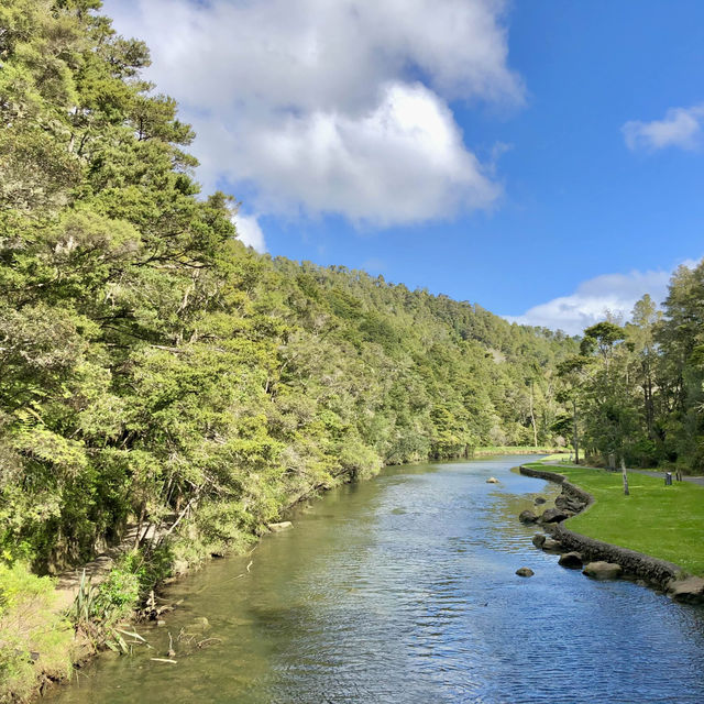 Whangārei Wonders: Nature's Embrace Beckons