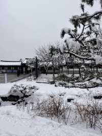 강원도 안 가도 눈꽃 구경 제대로 할 수 있는 서울 숨은 명소❄️