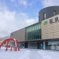 Hakodate's Winter Whispers Await Return