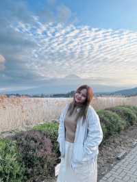 ชมวิวฟูจิซัง ริมทะเลสาบ 🗻