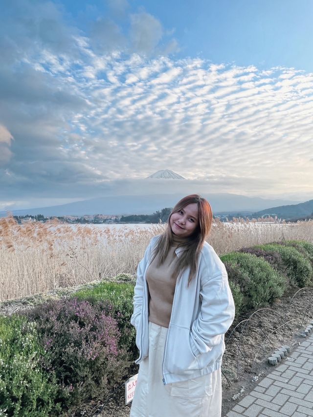 ชมวิวฟูจิซัง ริมทะเลสาบ 🗻