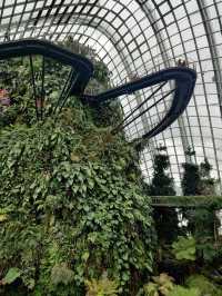 In the clouds @gardens by the bay Singapore