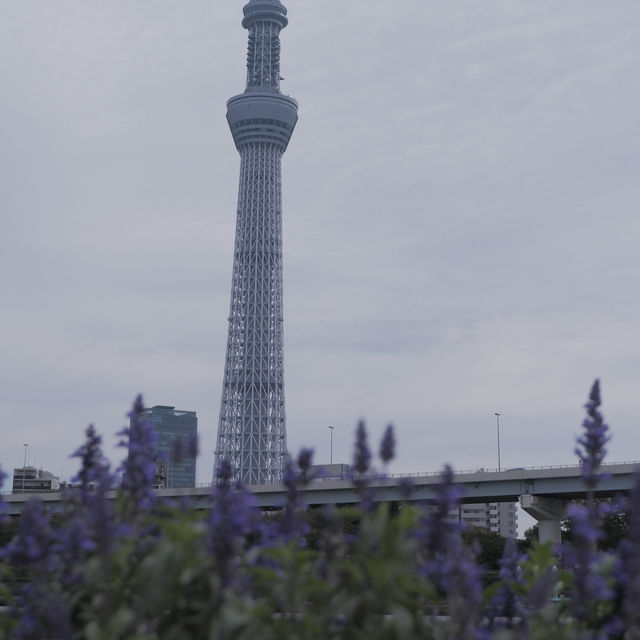 「隅田川步道」：淺草至晴空塔最快散步路線，日本必去打卡點