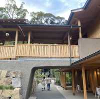 【2024】冰川神社：好姻緣，川越景點